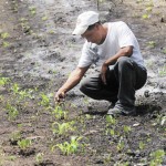 ley de cambio climático