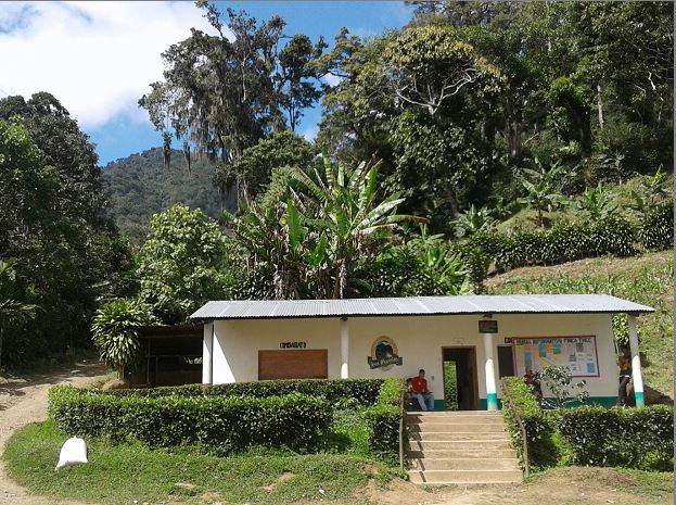 En el Cerro Jesús se encuentra incrustada la única reserva silvestre privada, legalmente registrada en el Marena en Nueva Segovia, donde un produce un café de calidad mundial. LA PRENSA / Alina Lorío.