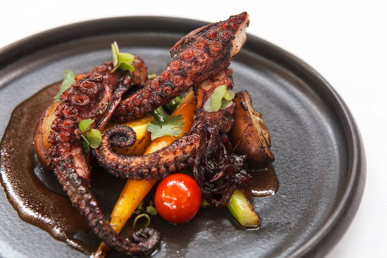 pulpo