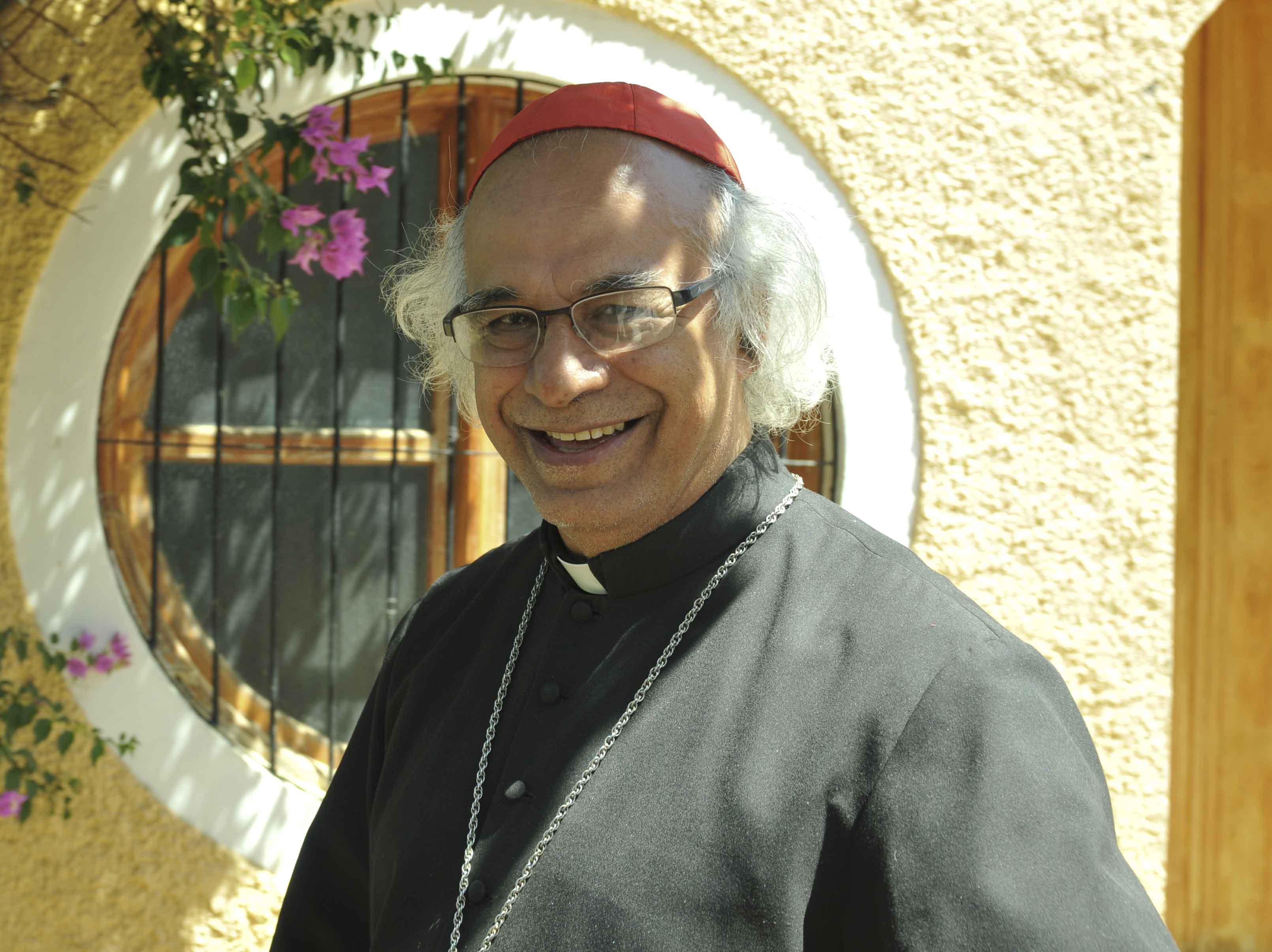 Cardenal Brenes