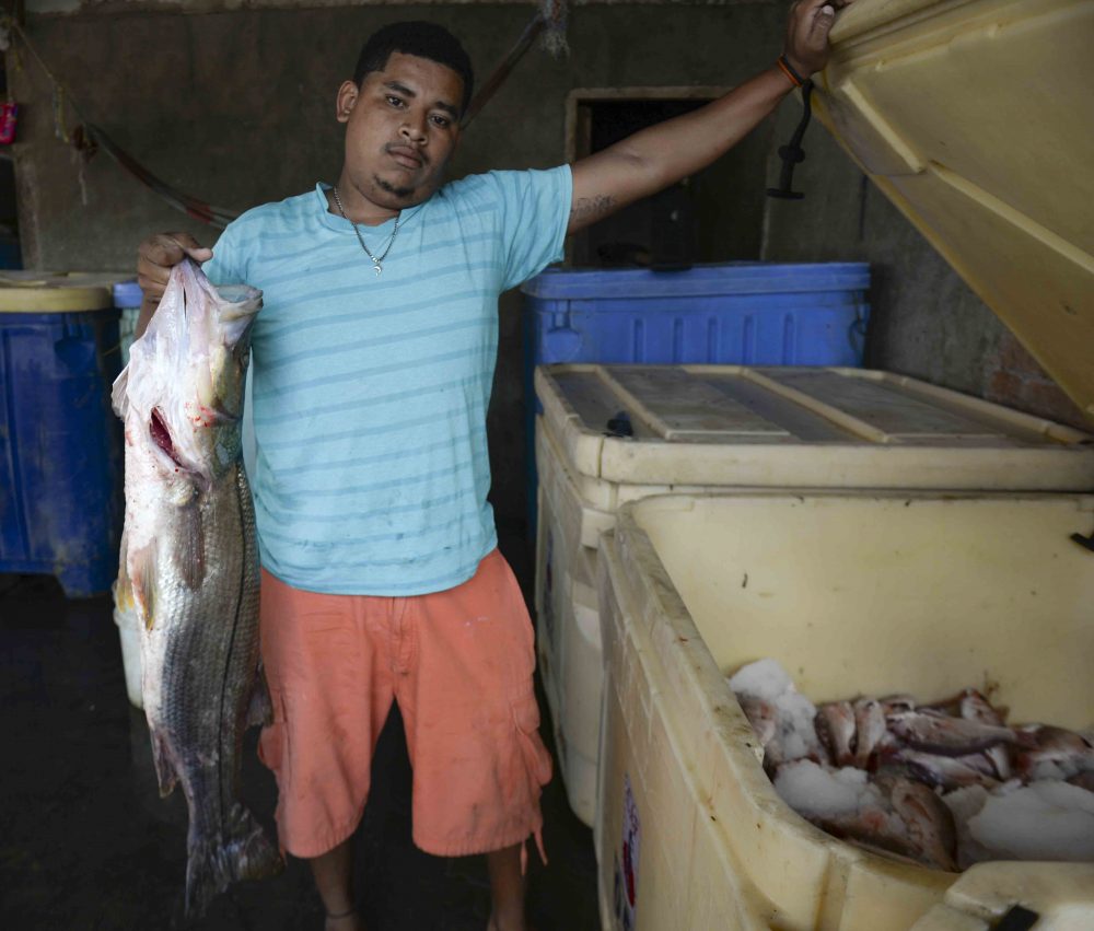 pesca con bombas, el astillero