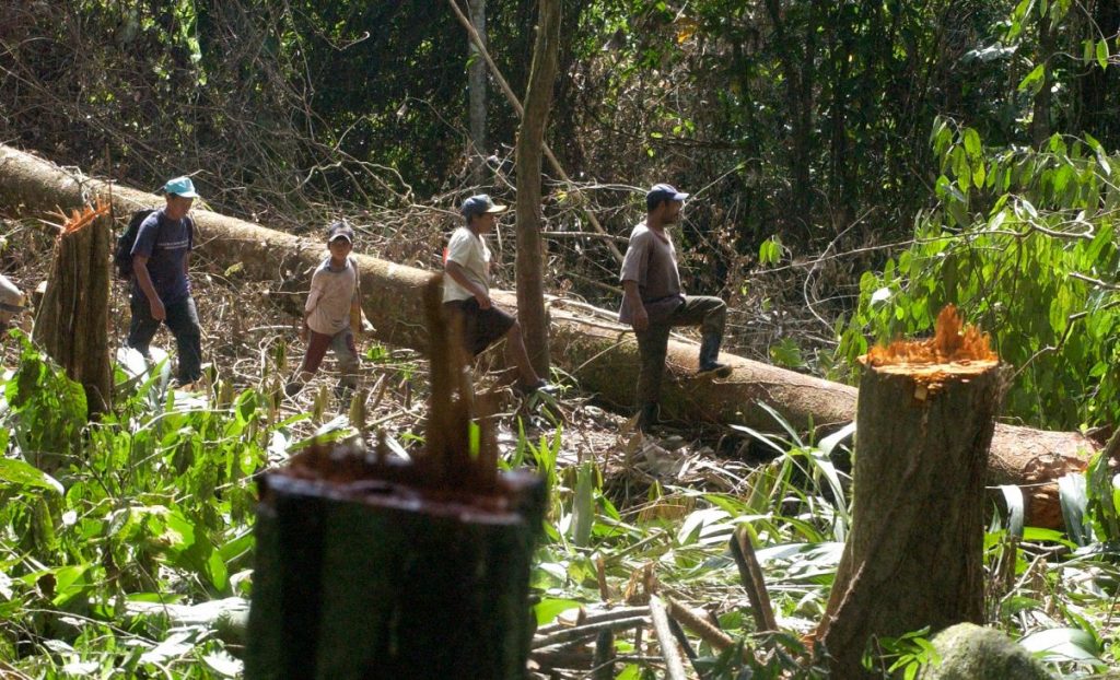 Indígenas, Nicaragua