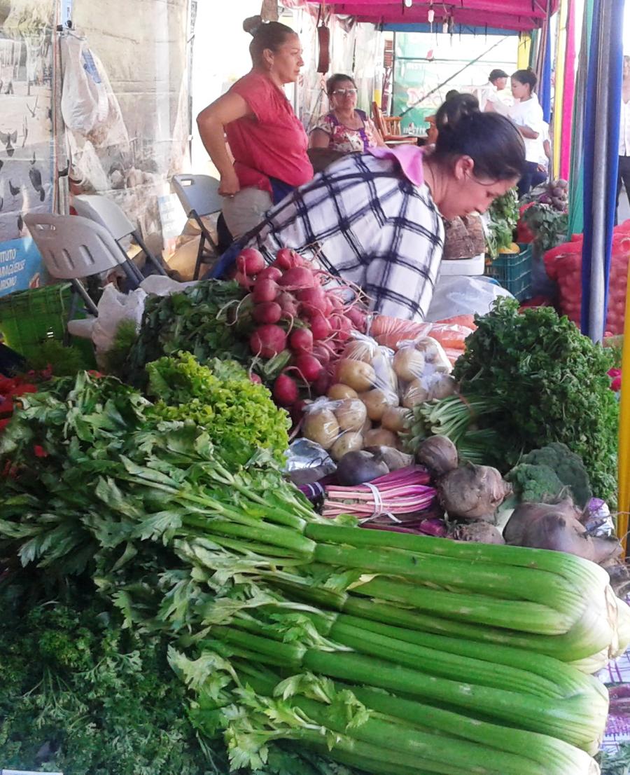 Matagalpa