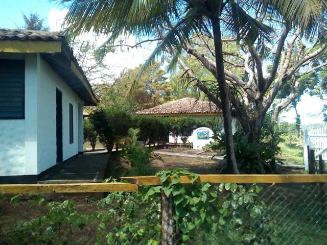 Cardenal