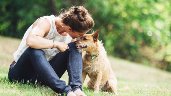 Por qué nuestro sentido del olfato es tan bueno como el de los perros o los ratones, al contrario de lo que se cree
