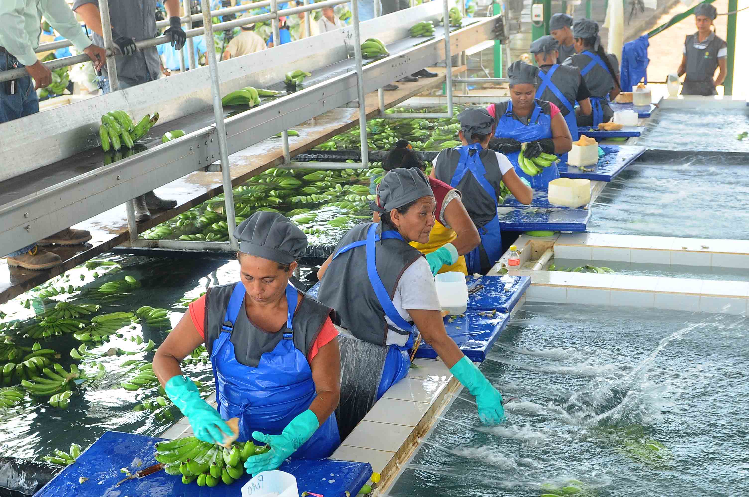 agroindustria
