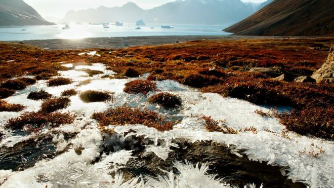 Los peligros de las enfermedades ocultas bajo el hielo durante miles de años que están despertando