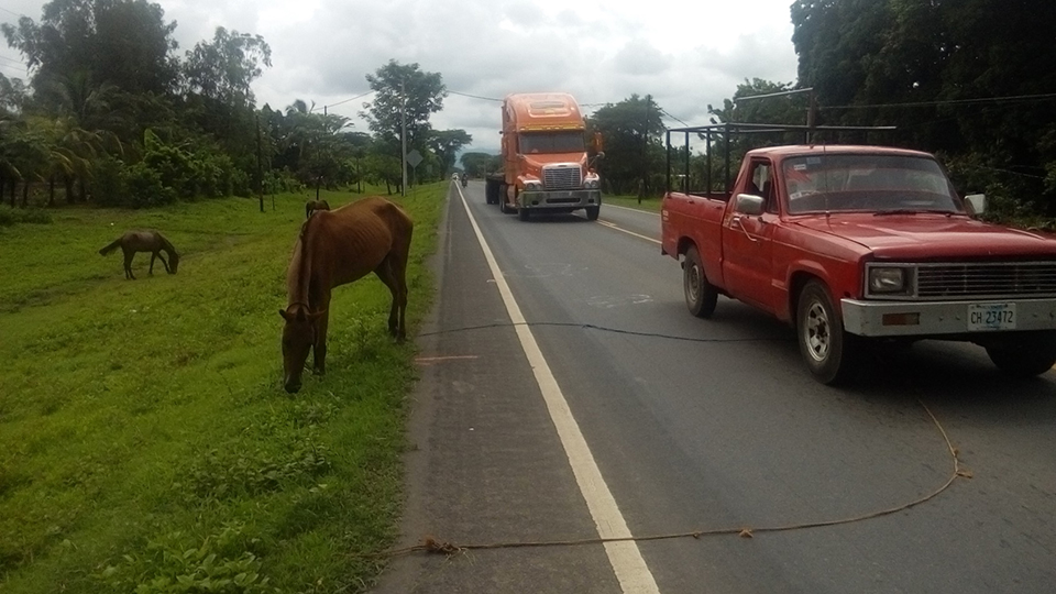 carretera