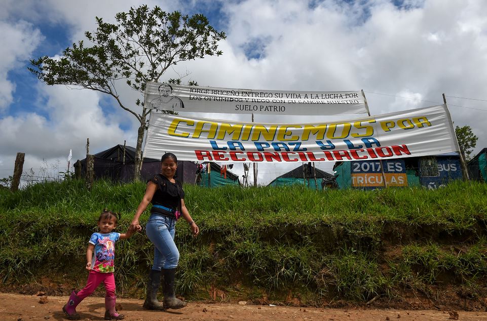 FARC, Colombia, desarme, desarme de las FARC
