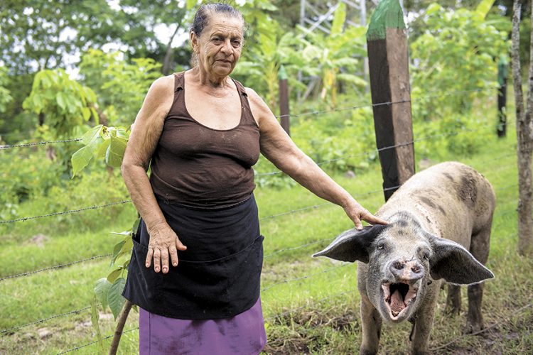 Programa Hambre Cero dejó de ser gratis