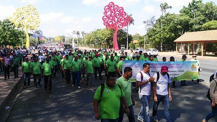 Avanza reforestación en las áreas protegidas de Nicaragua