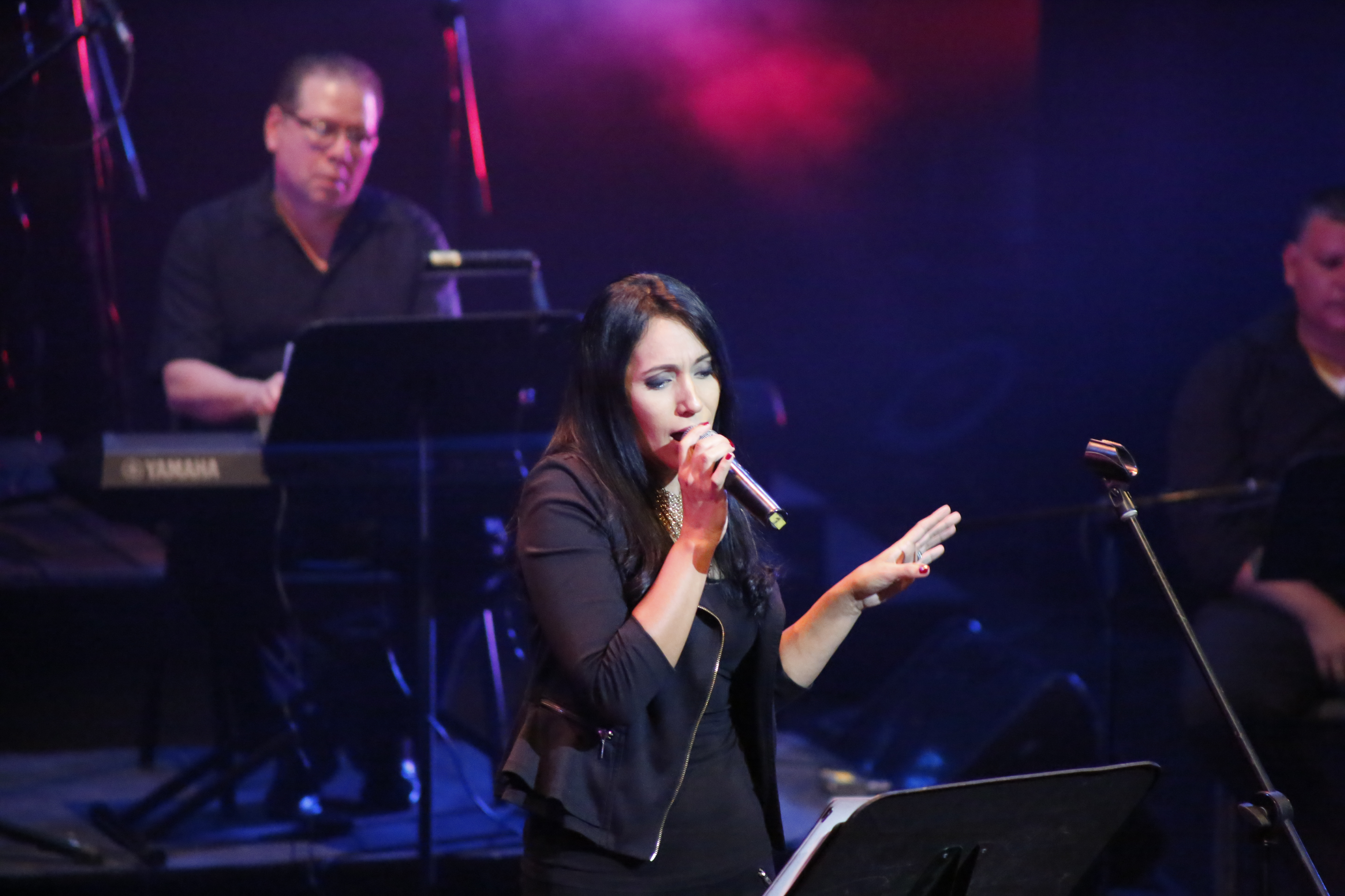 Artistas nacionales recuerdan la música de los setenta con el concierto 70’s Pop Bands