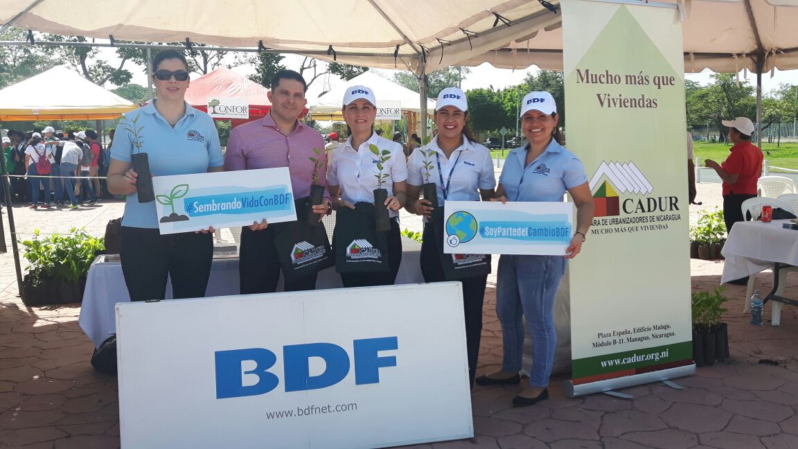 BDF apoya reforestación en el país