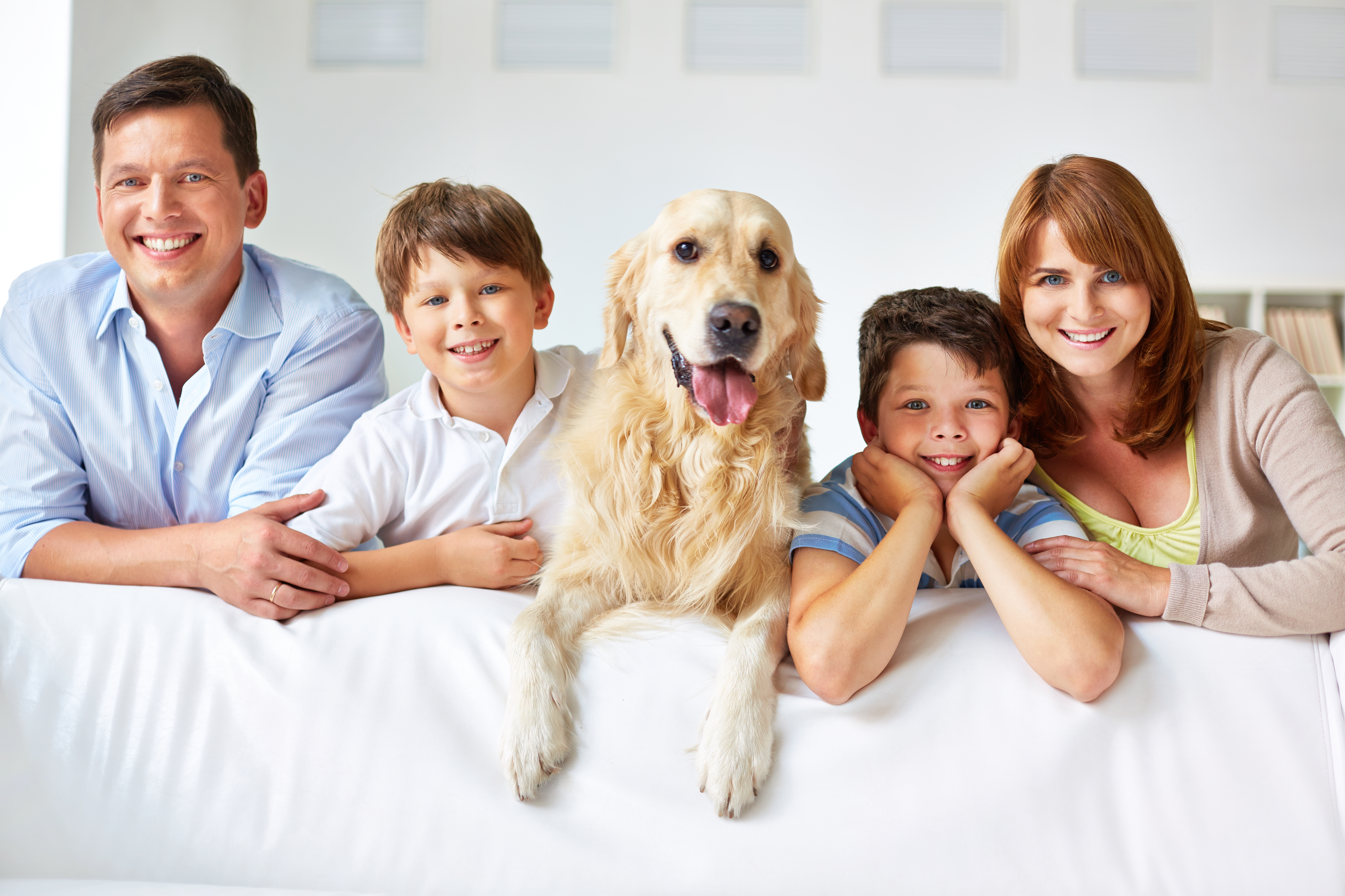 ¿Una nueva mascota en la familia? Cómo prepararnos para ello