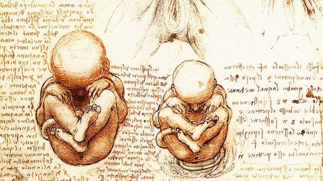 ¿Por qué los científicos tardaron tanto en entender de dónde vienen los niños?