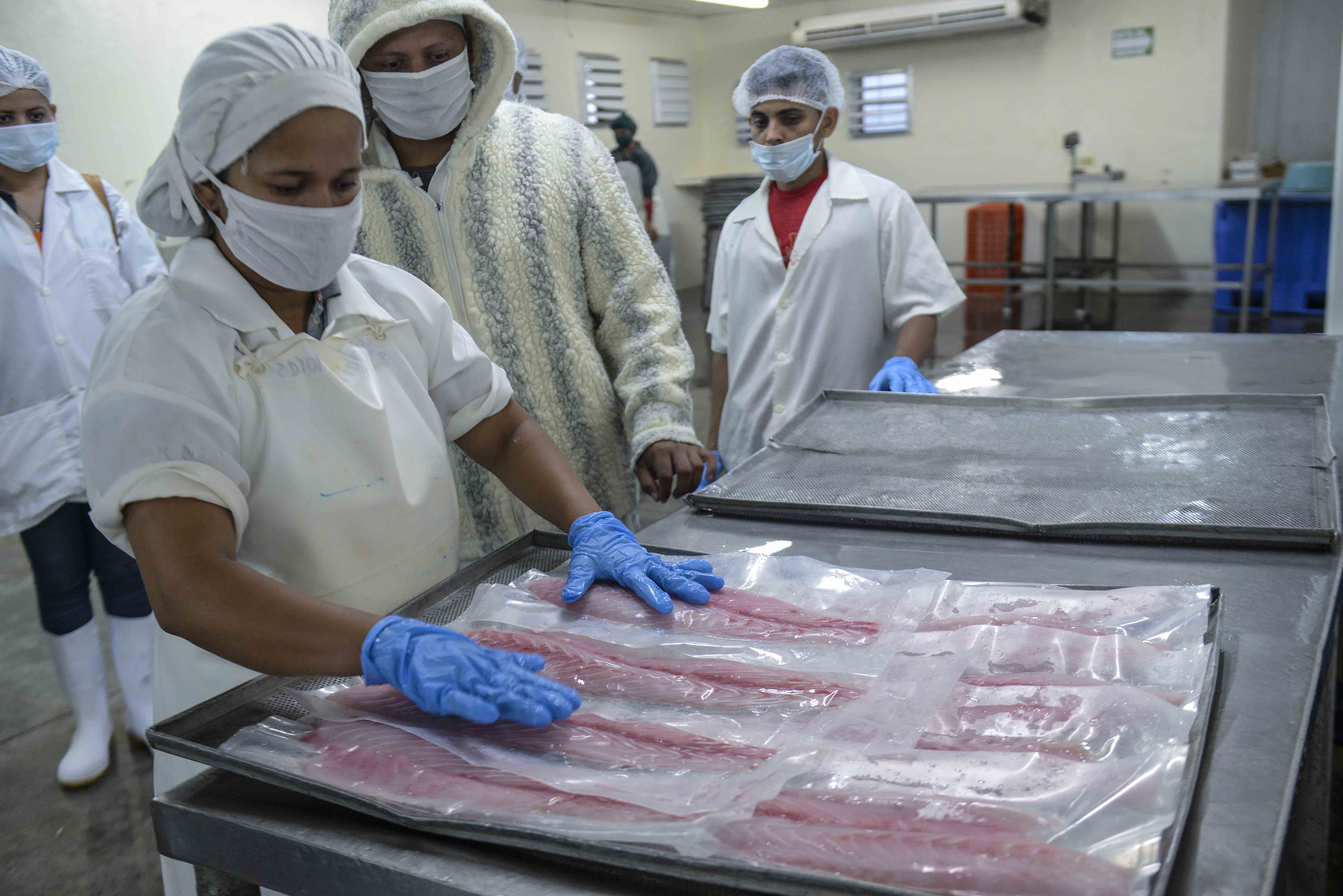 Industria pesquera y acuícola de Nicaragua apuesta por el valor agregado
