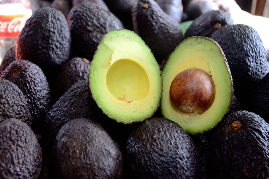 aguacate, tlcan
