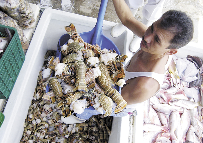 Pesca ilegal