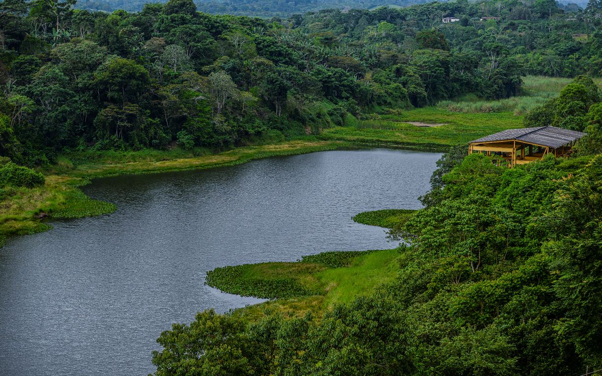Sedimentación y contaminación por plaguicidas amenazan el lago de Apanás
