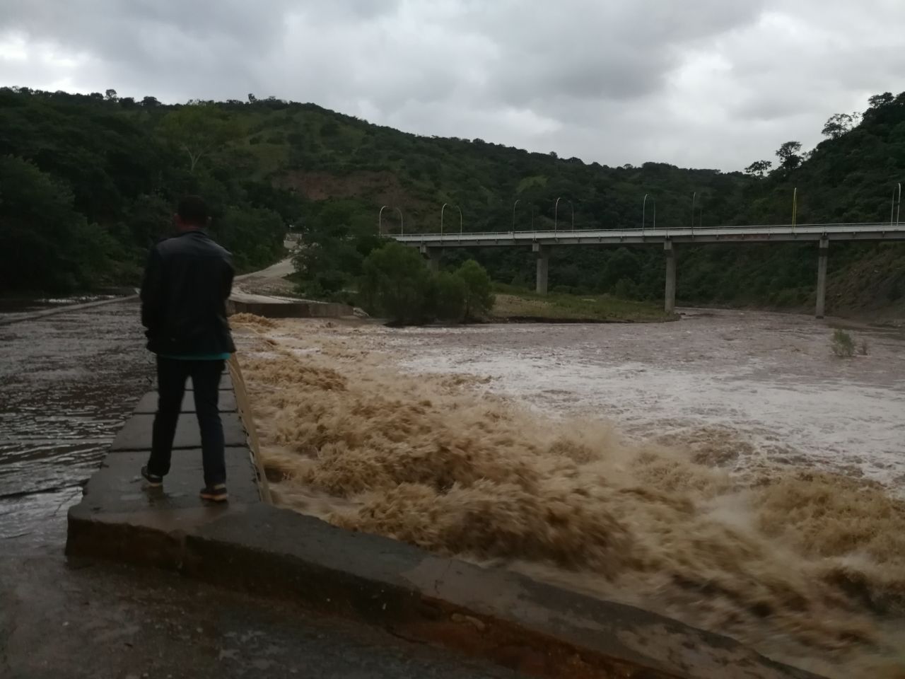 alerta amarilla