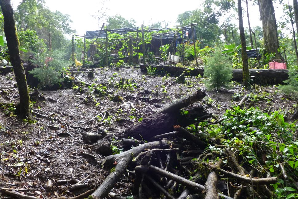 Propietaria de una finca en Matagalpa denuncia invasión de reserva