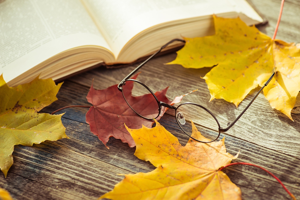 Poemas en el otoño de mi vida