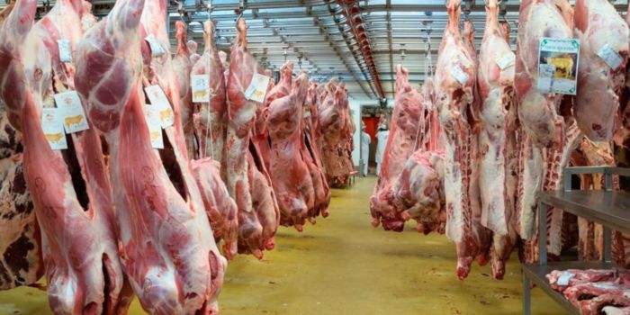 mercado venezolano