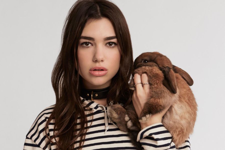 Dua Lipa, la cantante de moda