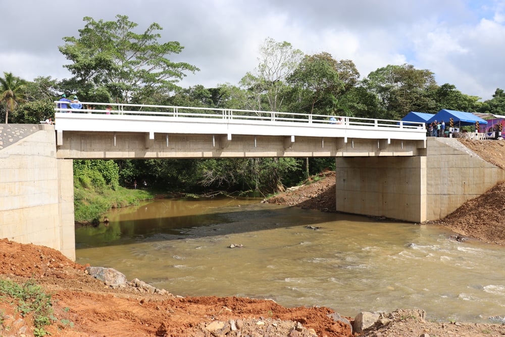 puente oncowas