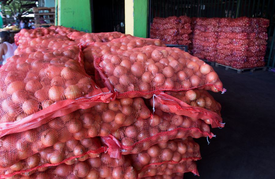cebollas, productores