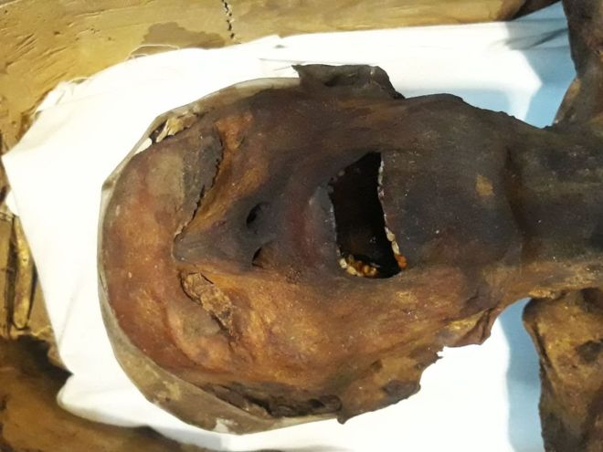 Los arquéologos que aseguran haber resuelto el misterio de la «momia que grita», hallada hace más de 100 años