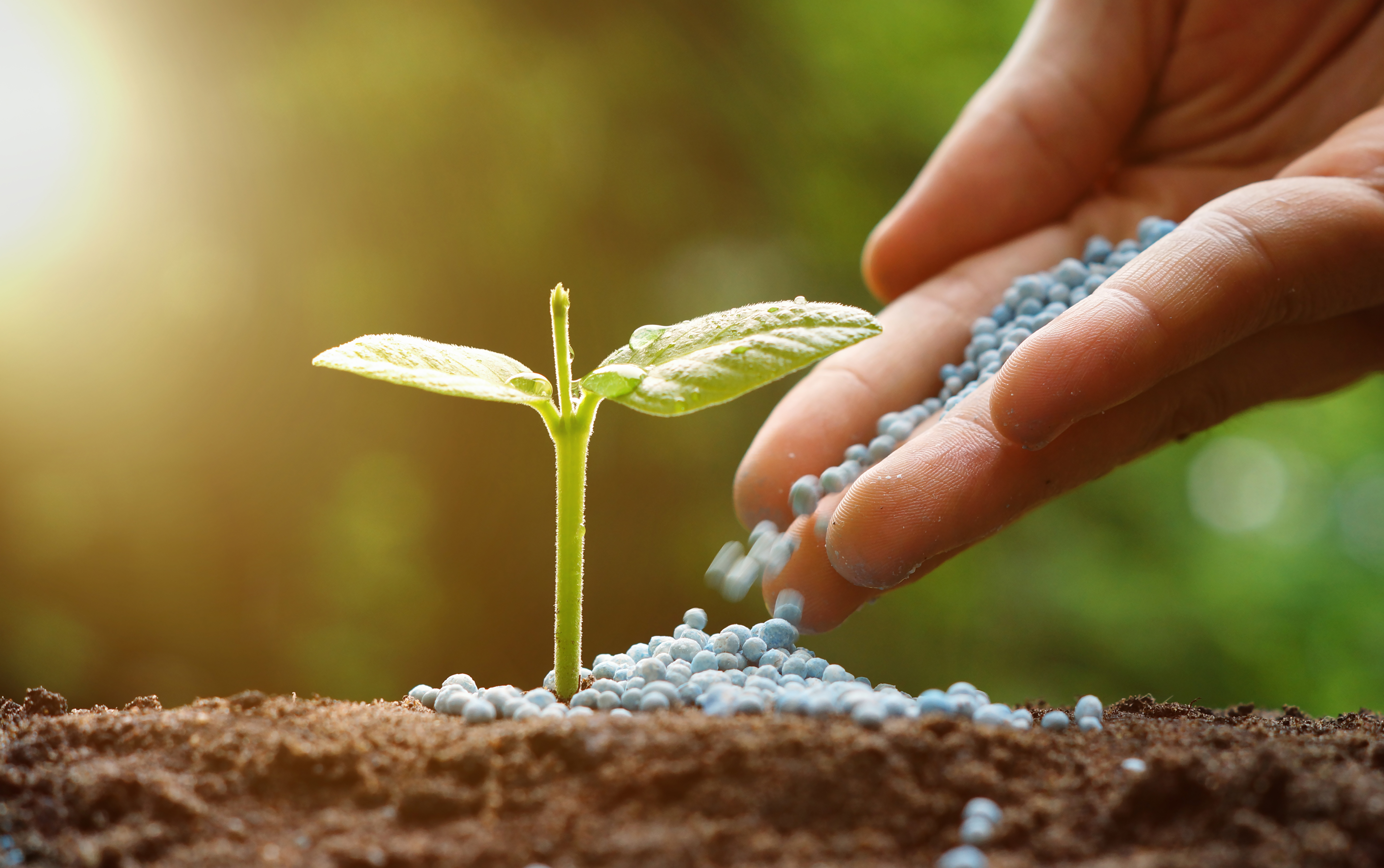 Agropecuario 2018, productores, fertilizantes, Agroalfa