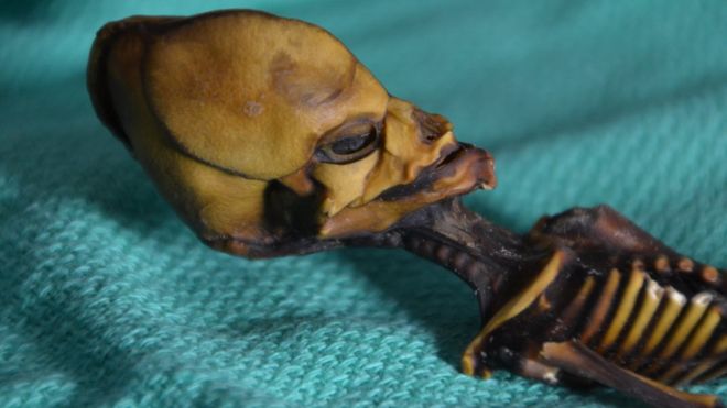 La trágica historia detrás de la momia hallada en Chile que algunos creían era un extraterrestre