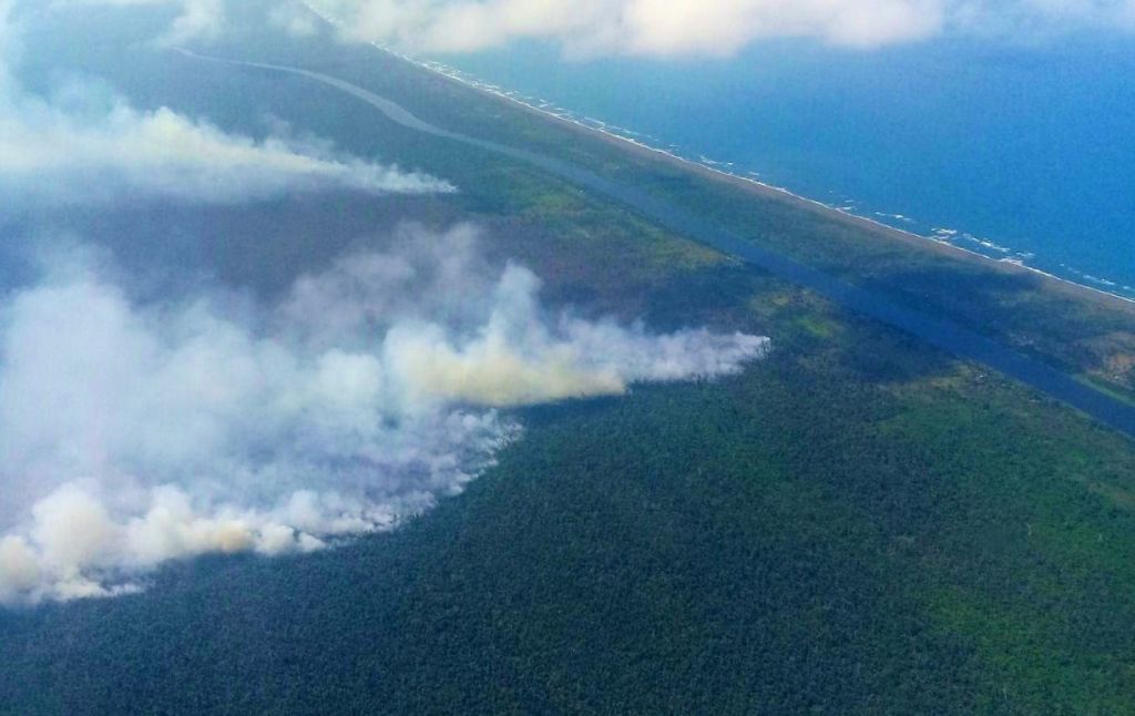 El incendio en la reserva natural Indio Maíz. LA PRENSA/ Cortesía