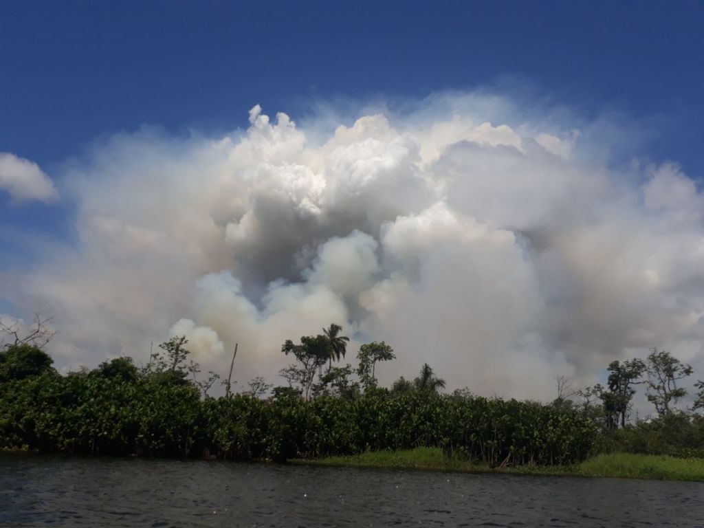 incendio en Indio Maíz, Indio Maíz, reserva Indio Maíz
