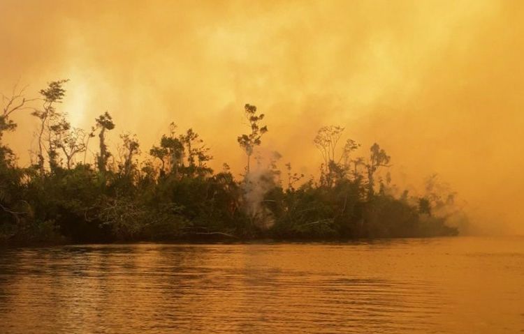 Indio aíz, Reserva Indio maíz, Incendio Indio Maíz, SOS Indio maíz