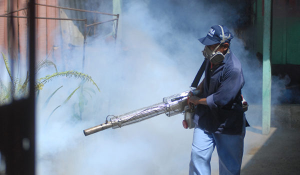 boletín epidemiológico, dengue,