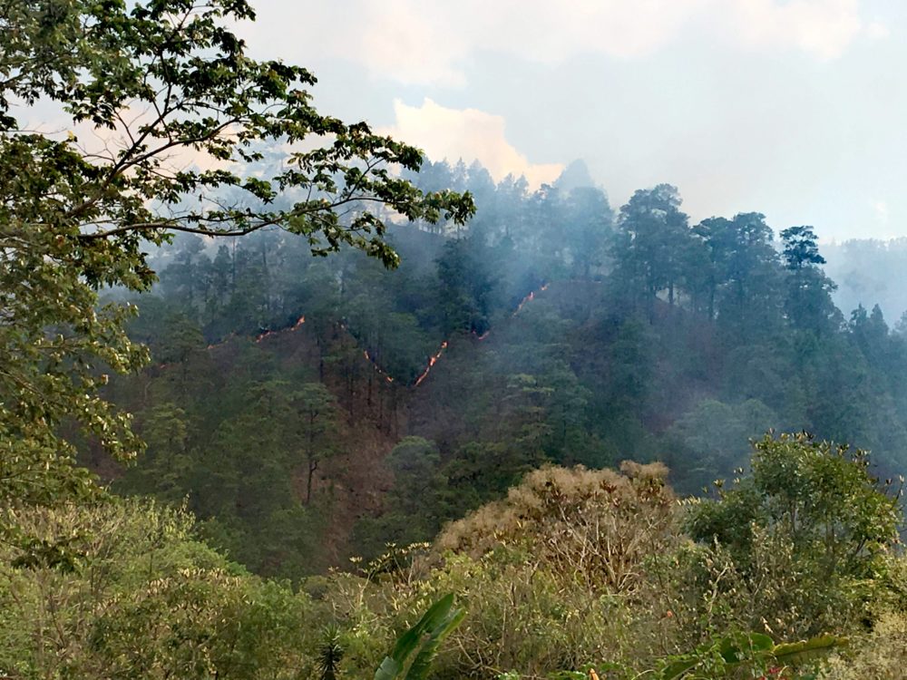 incendios forestales