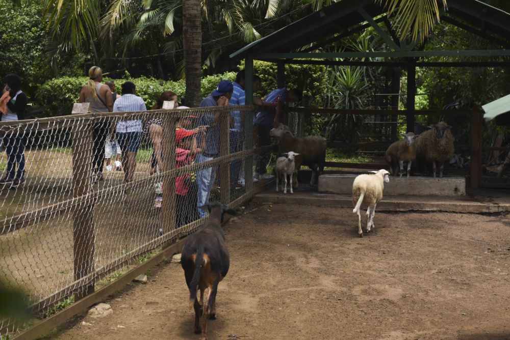 zoológico nacional