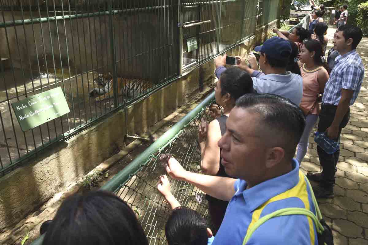animales, zoologico nacional