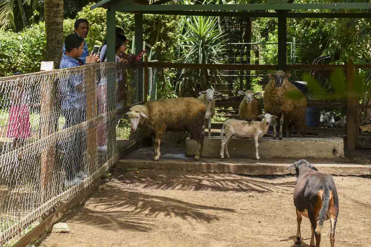 zoologico nacional