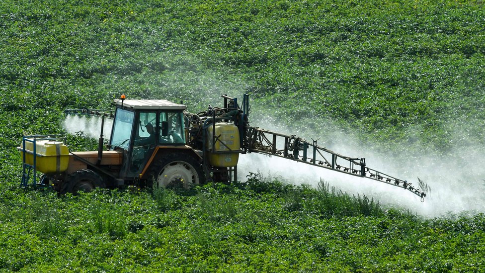 Qué es el glifosato, la substancia en los herbicidas más usados del mundo por la cual Monsanto fue demandada