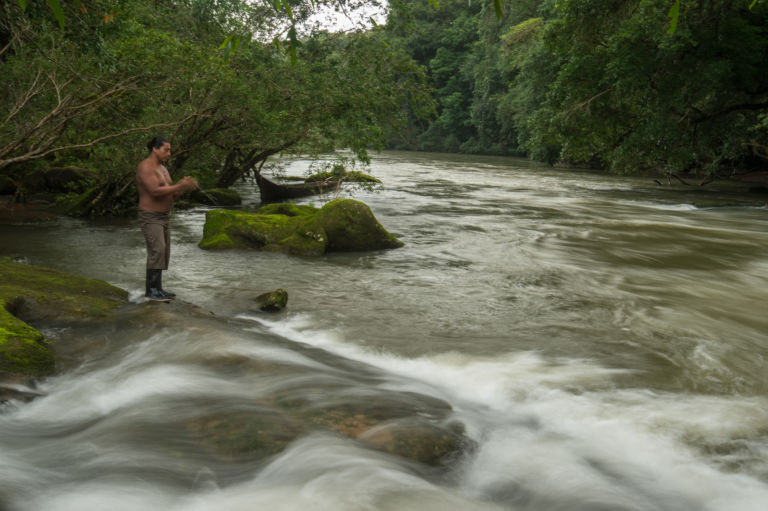 Así es la vida en la reserva biológica Indio Maíz. Fotos cortesía de Nick Hawkins