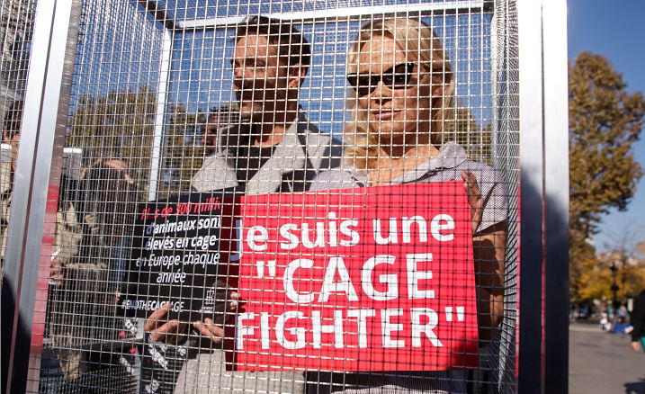 Pamela Anderson se encierra para denunciar la cría de animales en jaulas