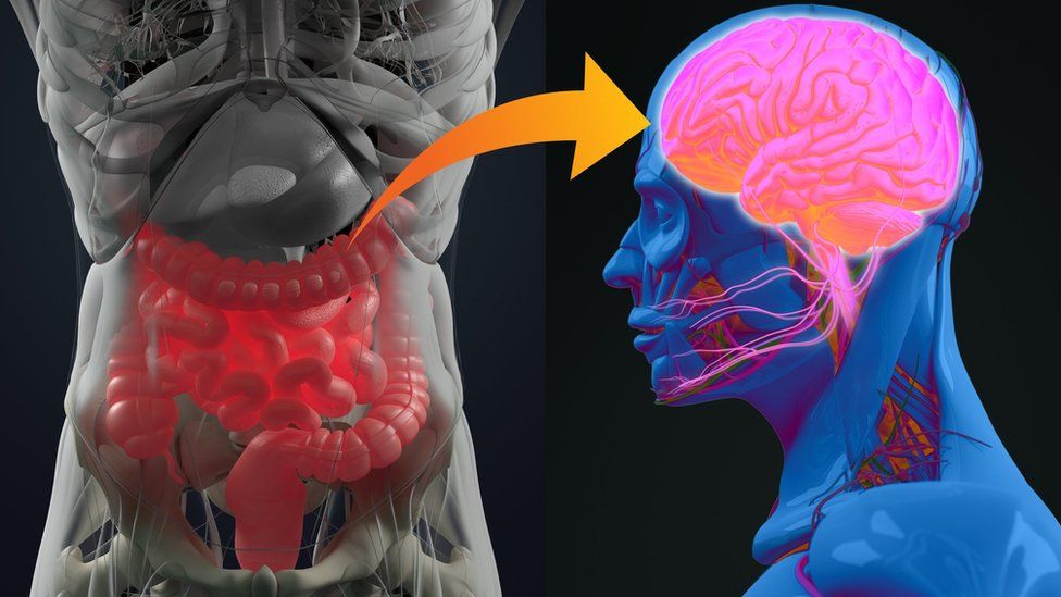 La investigación que reveló que la enfermedad de Parkinson podría originarse en el apéndice