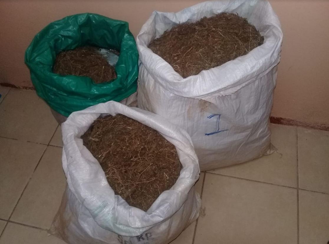 Policía detiene a cinco personas e incauta más de 80 libras de marihuana en el Triángulo Minero