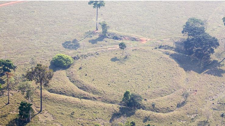 ¿Qué son los misteriosos geoglifos que intrigan a investigadores en Brasil?