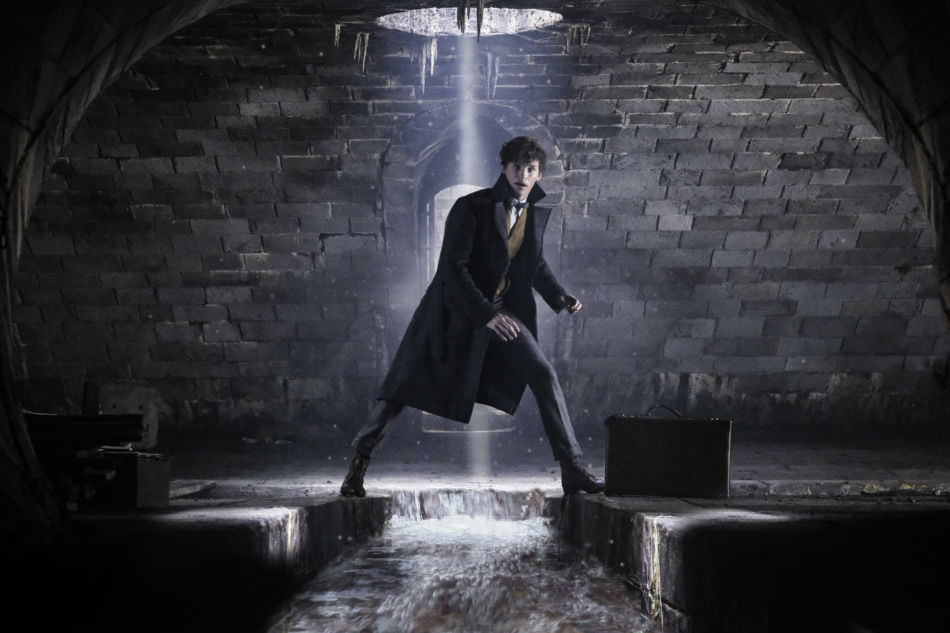 Eddie Redmayne: “Poner mi vida en las manos de JK Rowling para Animales Fantásticos es maravilloso”