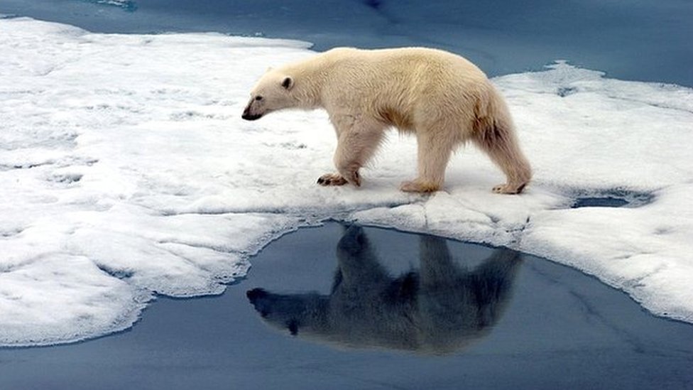 Cambio climático: ¿por qué el mundo está en una etapa crucial para su futuro?