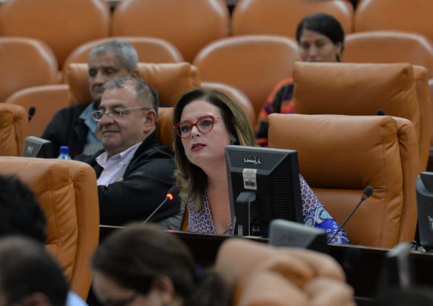 María Fernanda Flores de Alemán. PLC, Partido Liberal Constitucionalista